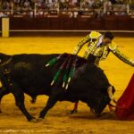 Málaga, 18 de agosto de 2018