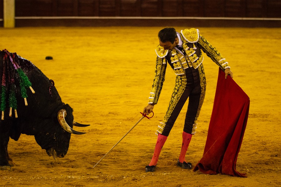 Málaga, 18 de agosto de 2018