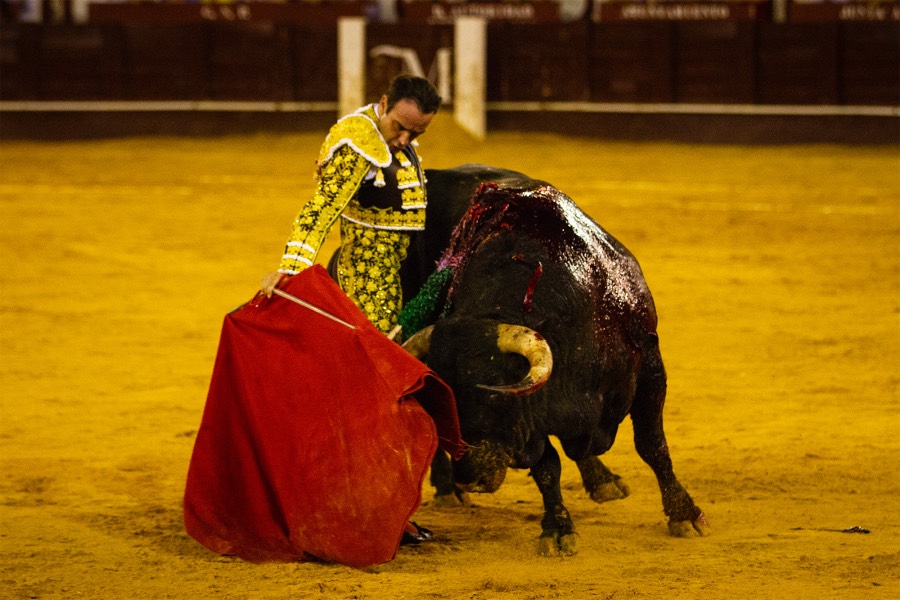Málaga, 18 de agosto de 2018