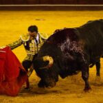 Málaga, 18 de agosto de 2018