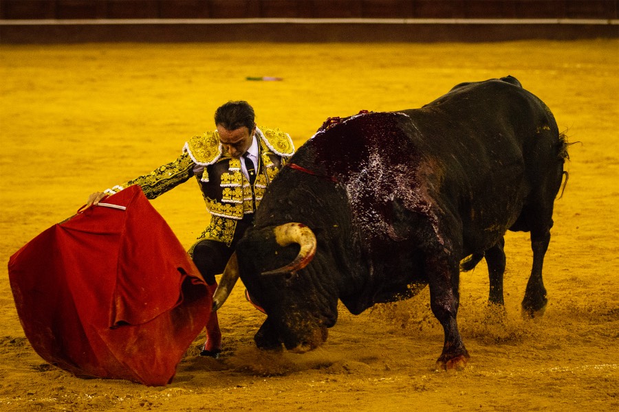 Málaga, 18 de agosto de 2018
