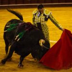 Málaga, 18 de agosto de 2018