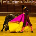 Málaga, 18 de agosto de 2018