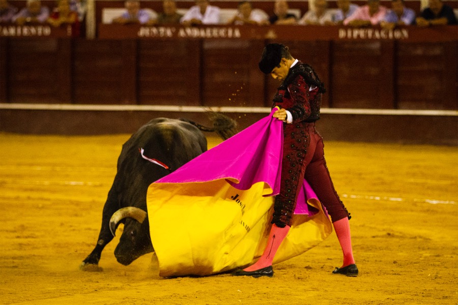 Málaga, 18 de agosto de 2018