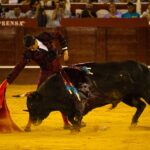 Málaga, 18 de agosto de 2018