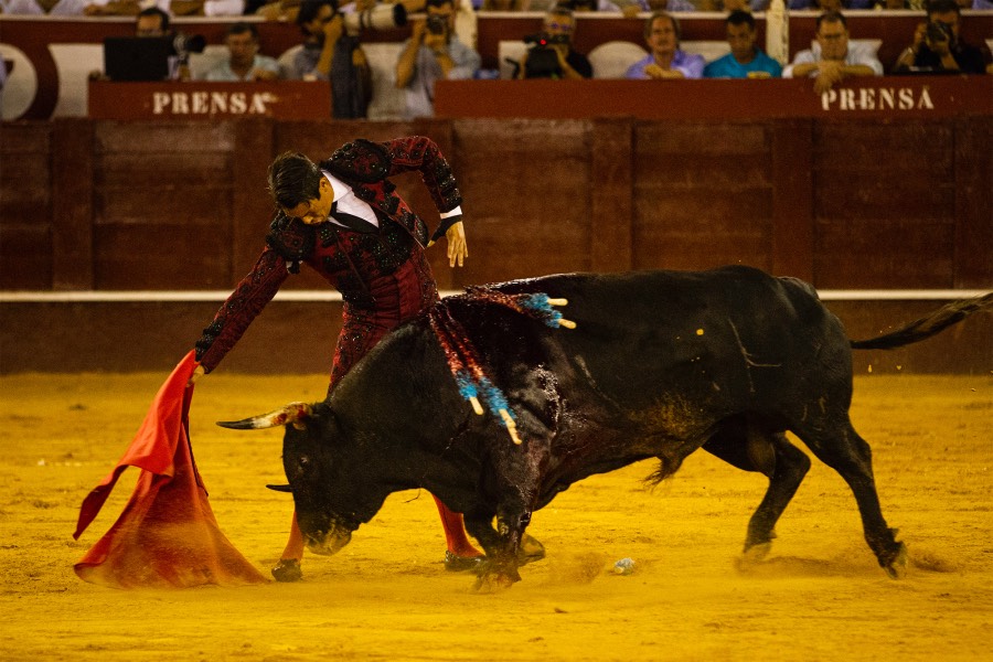 Málaga, 18 de agosto de 2018