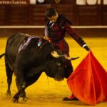 Málaga, 18 de agosto de 2018