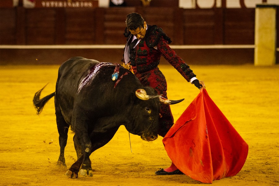 Málaga, 18 de agosto de 2018