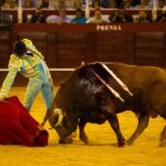 Málaga, 18 de agosto de 2018