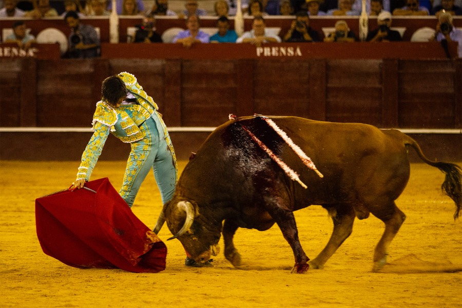 Málaga, 18 de agosto de 2018