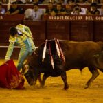 Málaga, 18 de agosto de 2018