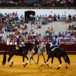 Málaga, 19 de agosto de 2018