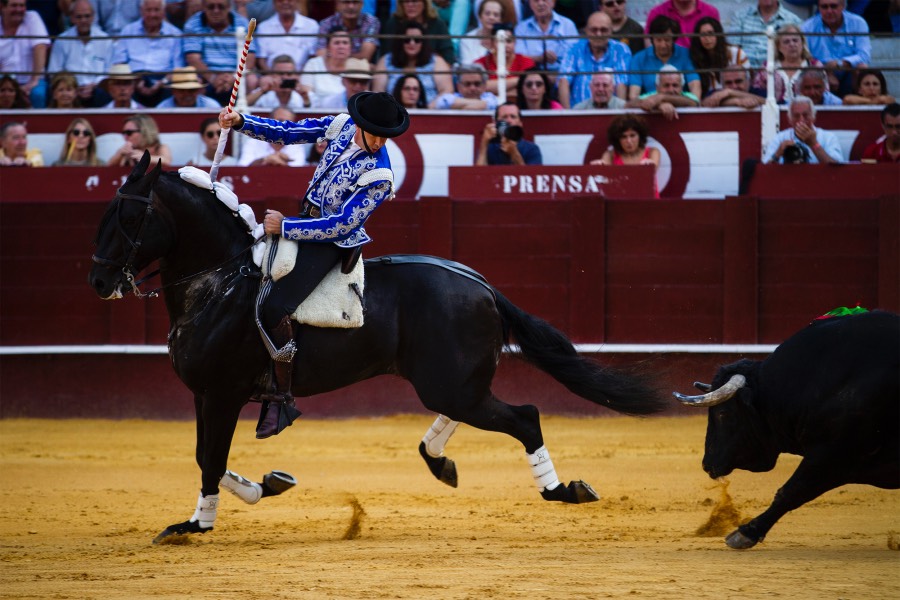Málaga, 19 de agosto de 2018