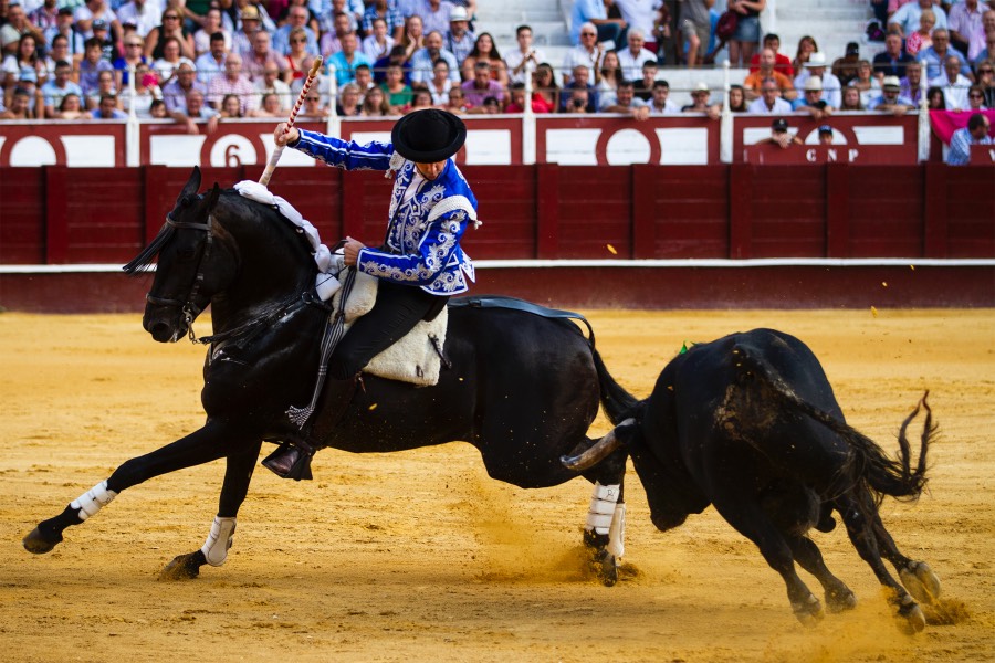 Málaga, 19 de agosto de 2018