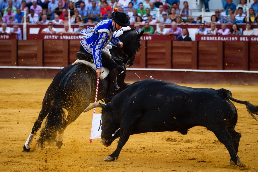 Málaga, 19 de agosto de 2018