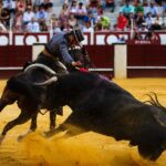 Málaga, 19 de agosto de 2018