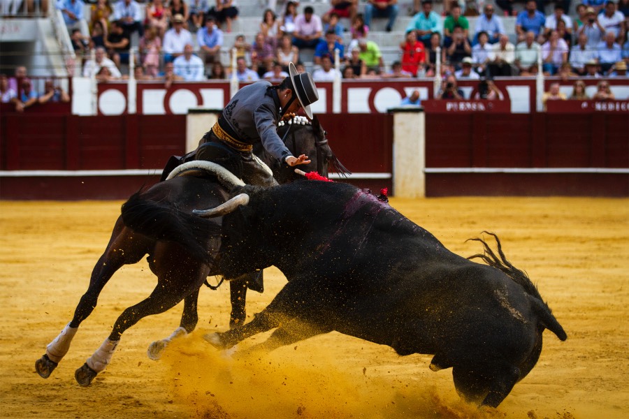 Málaga, 19 de agosto de 2018