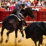 Málaga, 19 de agosto de 2018