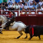 Málaga, 19 de agosto de 2018