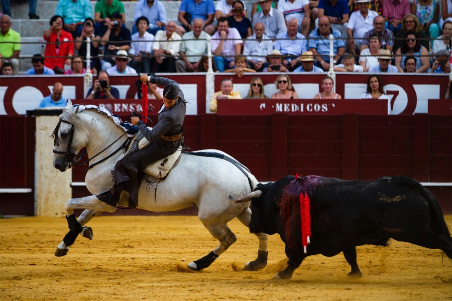 Málaga, 19 de agosto de 2018