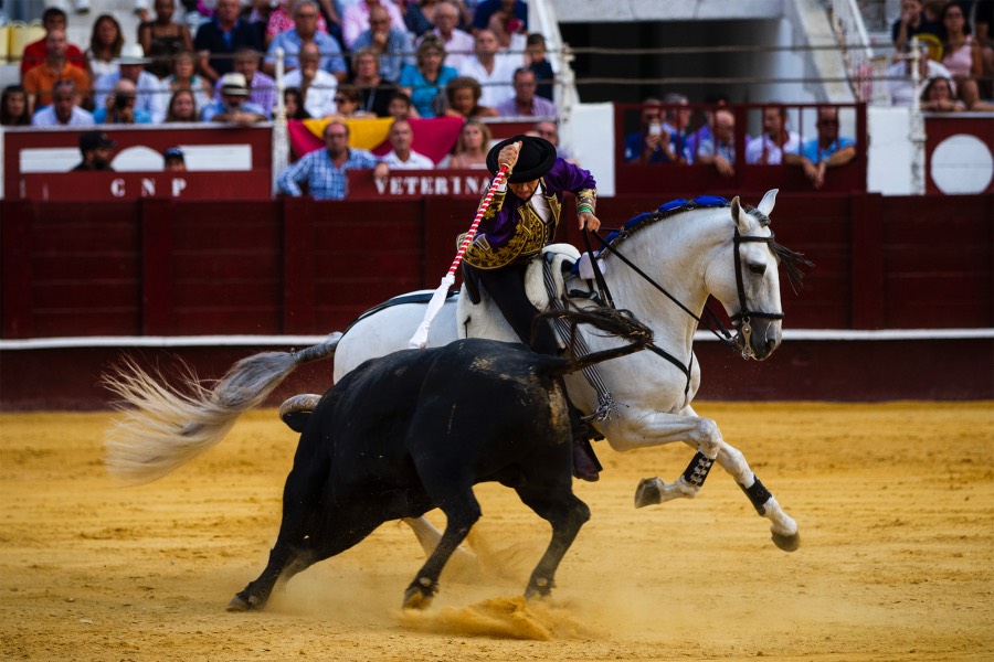Málaga, 19 de agosto de 2018
