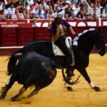 Málaga, 19 de agosto de 2018