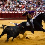 Málaga, 19 de agosto de 2018