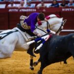 Málaga, 19 de agosto de 2018