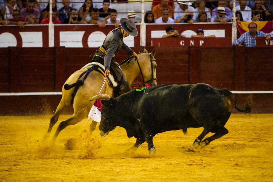 Málaga, 19 de agosto de 2018