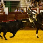 Málaga, 19 de agosto de 2018