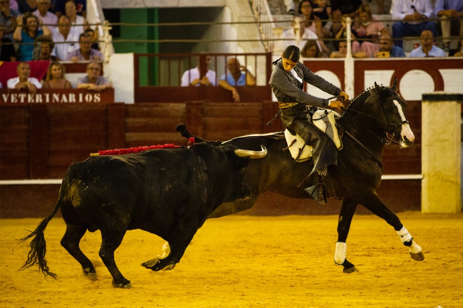 Málaga, 19 de agosto de 2018