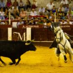 Málaga, 19 de agosto de 2018