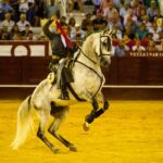 Málaga, 19 de agosto de 2018