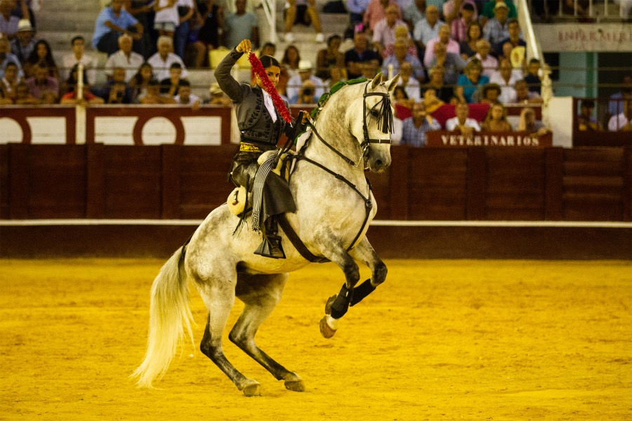 Málaga, 19 de agosto de 2018