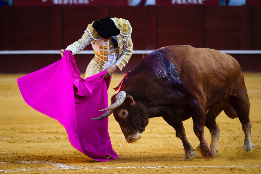 Málaga, 12 de agosto de 2018