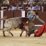 Madrid - Novillada nocturna - Viernes 24 de agosto de 2018
