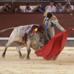 Madrid - Novillada nocturna - Viernes 24 de agosto de 2018