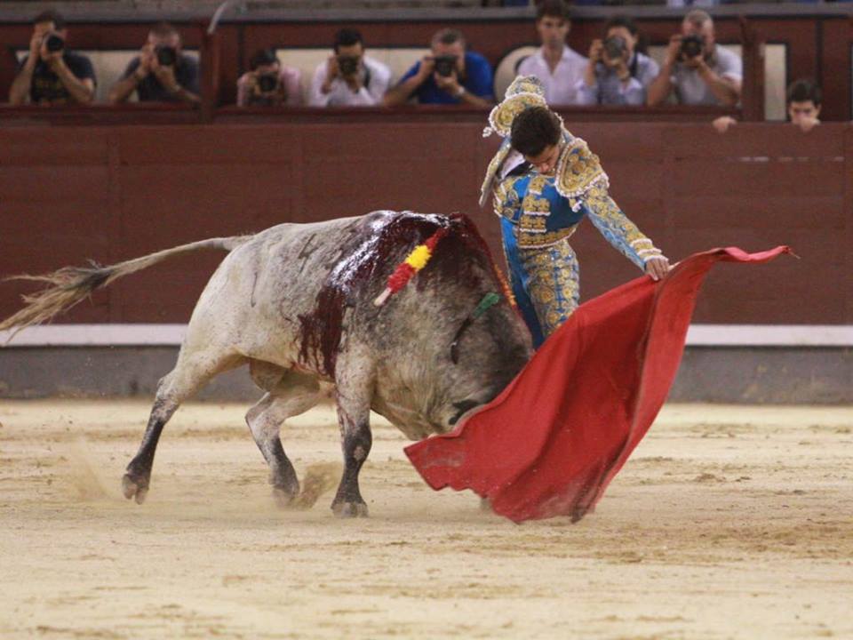 Madrid - Novillada nocturna - Viernes 24 de agosto de 2018