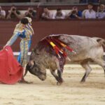 Madrid - Novillada nocturna - Viernes 24 de agosto de 2018