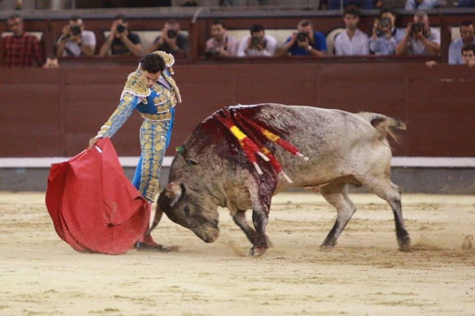 Madrid - Novillada nocturna - Viernes 24 de agosto de 2018