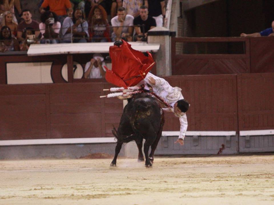 Madrid - Novillada nocturna - Viernes 24 de agosto de 2018