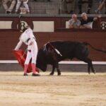 Madrid - Novillada nocturna - Viernes 24 de agosto de 2018