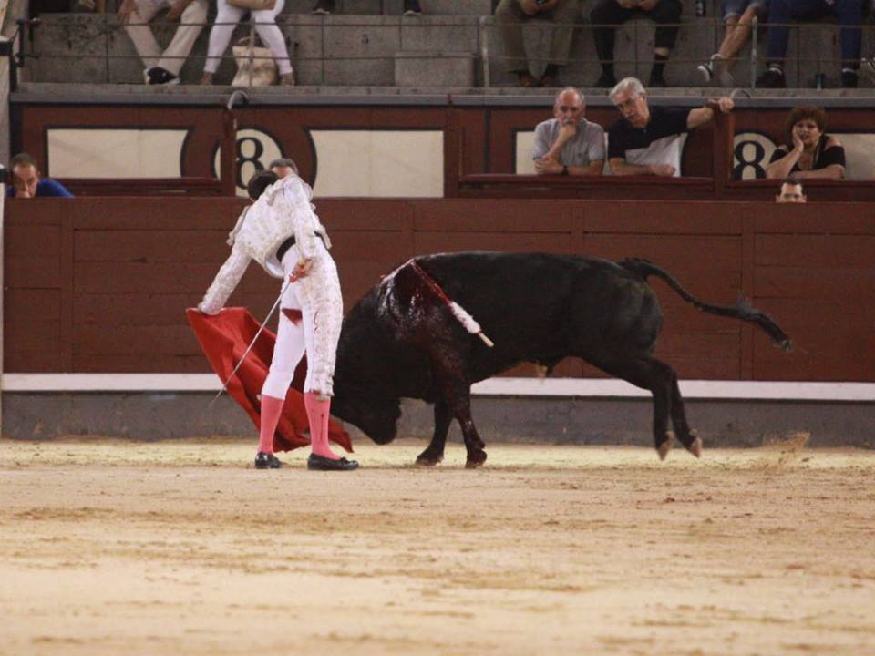Madrid - Novillada nocturna - Viernes 24 de agosto de 2018