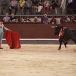 Madrid - Novillada nocturna - Viernes 24 de agosto de 2018