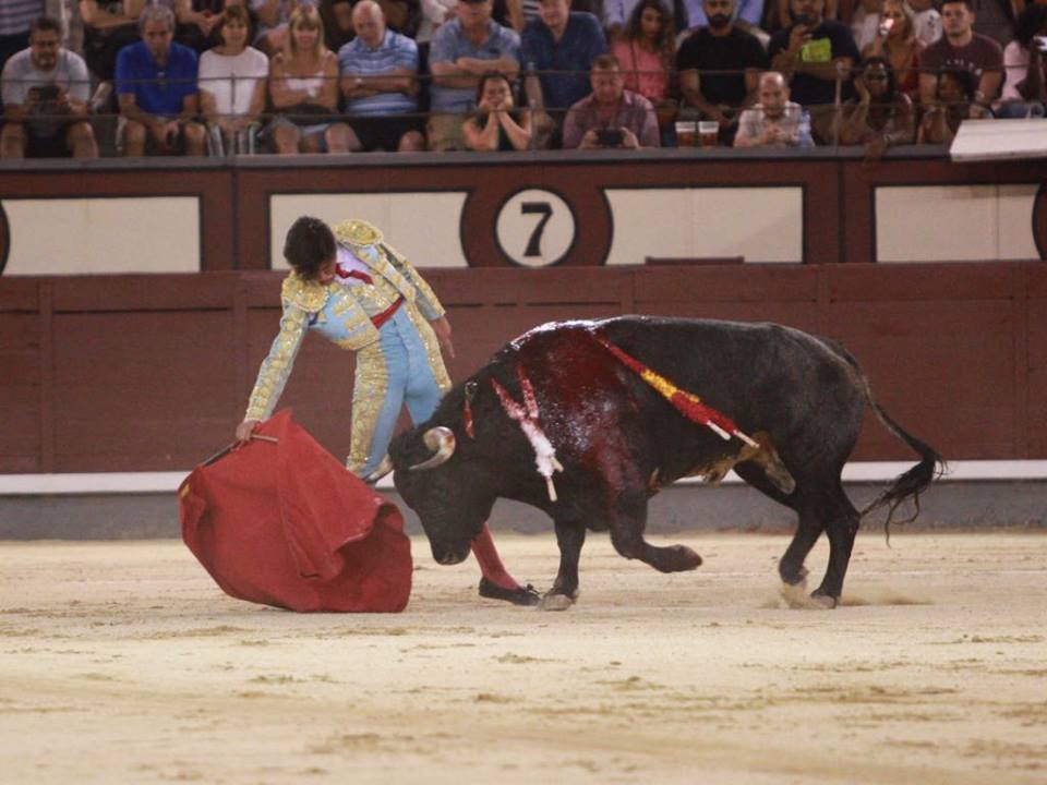 Madrid - Novillada nocturna - Viernes 24 de agosto de 2018