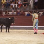 Madrid - Novillada nocturna - Viernes 24 de agosto de 2018