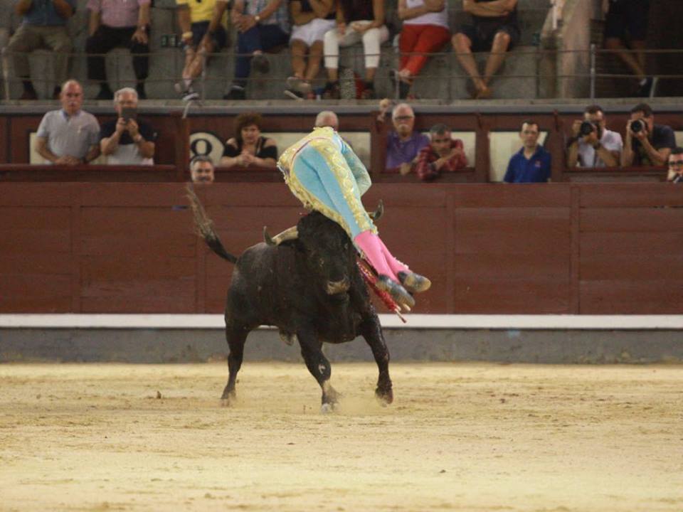 Madrid - Novillada nocturna - Viernes 24 de agosto de 2018