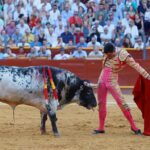 Sanlúcar de Barrameda, 25 de agosto de 2018