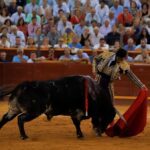 Sanlúcar de Barrameda, 25 de agosto de 2018