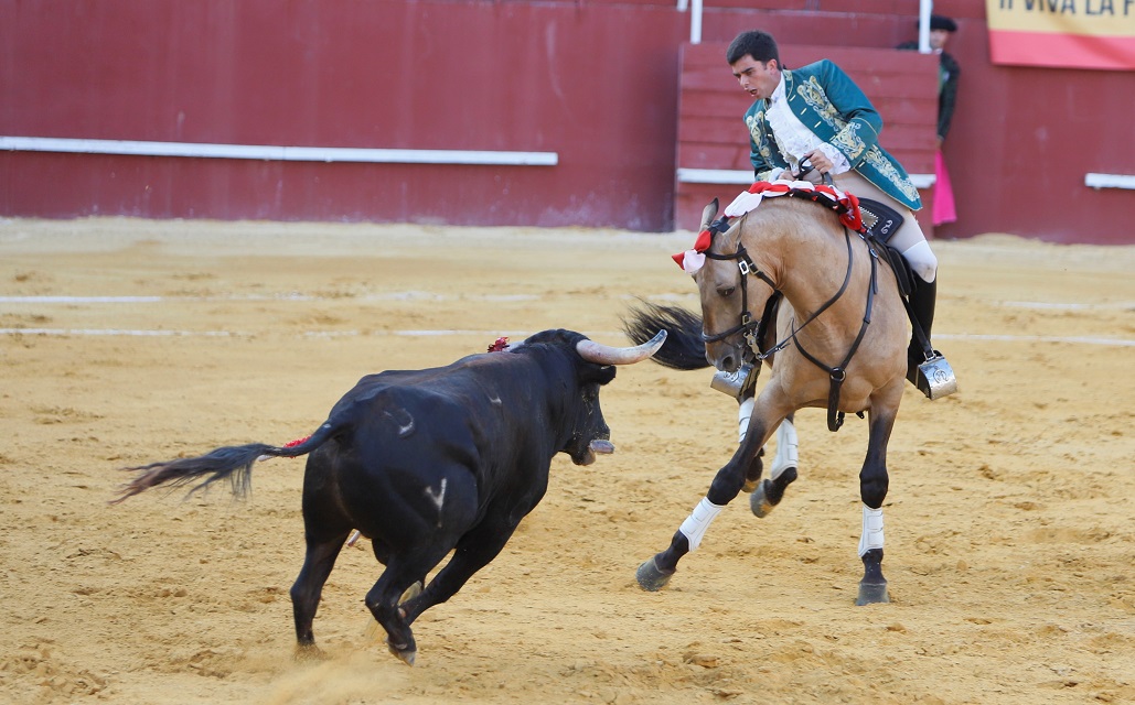 San Roque (Cádiz) - Corrida de toros - Sábado 11 de agosto de 2018